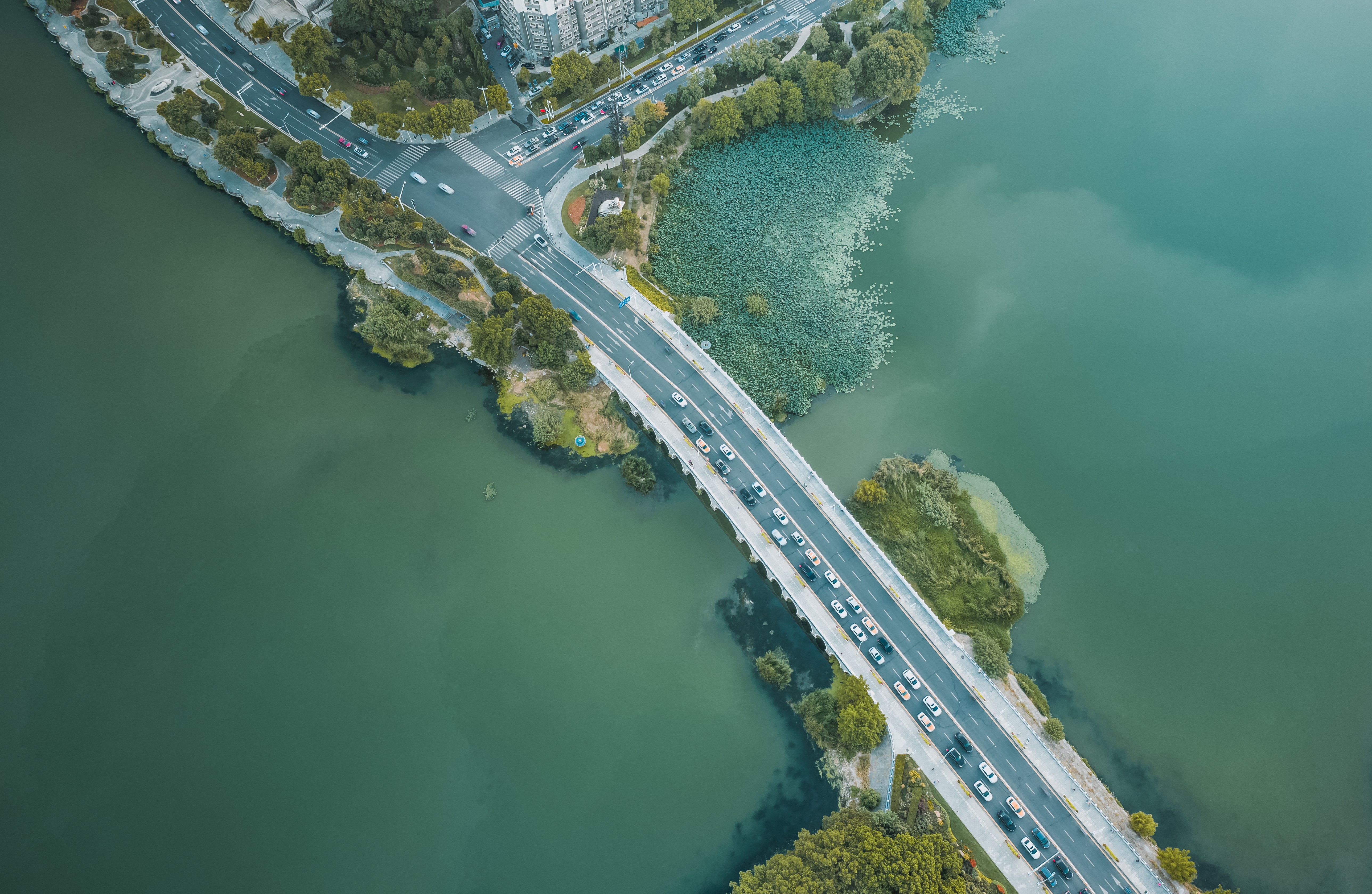 武昌文明路雙湖橋（中國(guó)市政金杯示范工程） (2).jpg
